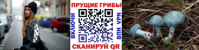 Псилоцибиновые грибы мухоморы  где найти   Темников 
