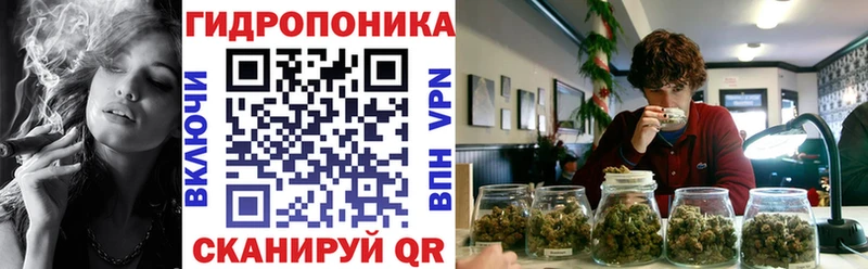 Канабис сатива  Темников 